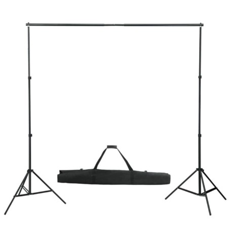 vidaXL Sistema de soporte de telón fondo fotográfico 600x300 cm blanco