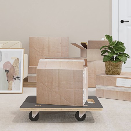 vidaXL Soportes con ruedas 2 uds rectangular 60x40x11,5 cm