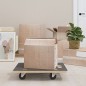 vidaXL Soportes con ruedas 2 uds rectangular 60x40x11,5 cm vidaXL Soportes con ruedas 2 uds rectangular 60x40x11,5 cm