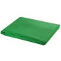 vidaXL Sistema de soporte de telón fondo 500x300 cm verde
