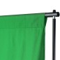 vidaXL Sistema de soporte de telón fondo 500x300 cm verde