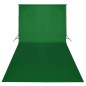 vidaXL Kit de estudio fotográfico telón verde croma 600x300 y luces vidaXL Kit de estudio fotográfico telón verde croma 600x300 y luces