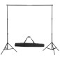 vidaXL Kit de estudio fotográfico telón verde croma 600x300 y luces vidaXL Kit de estudio fotográfico telón verde croma 600x300 y luces