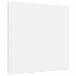 vidaXL Lienzos tensados 12 uds madera maciza de pino y tela blanco