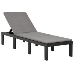 vidaXL Tumbona con cojín plástico gris antracita
