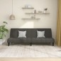 vidaXL Sofá cama de 2 plazas terciopelo gris oscuro vidaXL Sofá cama de 2 plazas terciopelo gris oscuro