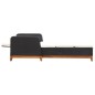 vidaXL Tumbona de ratán sintético y madera maciza de acacia negro vidaXL Tumbona de ratán sintético y madera maciza de acacia negro