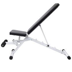 vidaXL Banco de ejercicios con juego de pesas y mancuernas 30,5 kg 