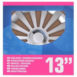 ProPlus Juego de tapacubos 4 unidades Meridian plateado 13"