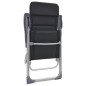 vidaXL Sillas de camping de aluminio 2 unidades negras 58x69x111 cm vidaXL Sillas de camping de aluminio 2 unidades negras 58x69x111 cm