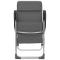 vidaXL Sillas de camping plegables 4 unidades aluminio gris vidaXL Sillas de camping plegables 4 unidades aluminio gris