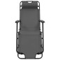 vidaXL Tumbonas plegables con reposapiés 2 unidades acero gris vidaXL Tumbonas plegables con reposapiés 2 unidades acero gris