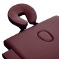 vidaXL Camilla de masaje plegable 2 zonas aluminio morado vidaXL Camilla de masaje plegable 2 zonas aluminio morado