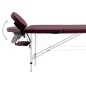 vidaXL Camilla de masaje plegable 2 zonas aluminio morado vidaXL Camilla de masaje plegable 2 zonas aluminio morado