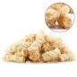 vidaXL Encendedores BIO 10 kg vidaXL Encendedores BIO 10 kg