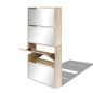 vidaXL Mueble zapatero 4 compartimentos espejo color roble 63x17x134cm vidaXL Mueble zapatero 4 compartimentos espejo color roble 63x17x134cm