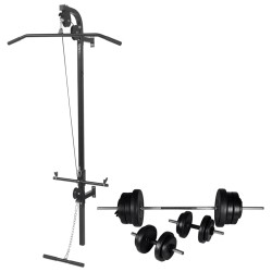 vidaXL Máquina de musculación de pared con pesas y mancuernas 60,5 kg 