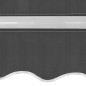 vidaXL Toldo plegable de operación manual 450 cm antracita vidaXL Toldo plegable de operación manual 450 cm antracita