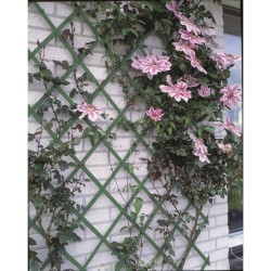 Nature Enrejado de jardín de PVC verde 2 unidades 100x200 cm 