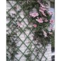 Nature Enrejado de jardín de PVC verde 2 unidades 100x200 cm Nature Enrejado de jardín de PVC verde 2 unidades 100x200 cm