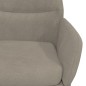 vidaXL Silla de relajación de terciopelo gris claro vidaXL Silla de relajación de terciopelo gris claro