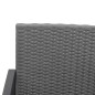 vidaXL Set comedor jardín 5 pzas cojines PP aspecto ratán gris oscuro vidaXL Set comedor jardín 5 pzas cojines PP aspecto ratán gris oscuro