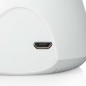 Smartwares Cámara IP de interior blanca 7x7x11 cm Smartwares Cámara IP de interior blanca 7x7x11 cm