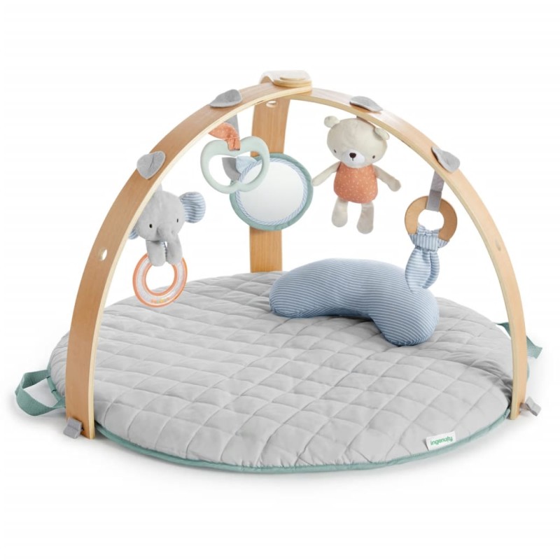 Ingenuity Gimnasio de actividades reversible Cozy Spot Ingenuity Gimnasio de actividades reversible Cozy Spot