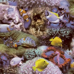 Noordwand Papel Good Vibes Coral and Tropical Fish amarillo morado