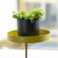 Esschert Design Bandeja para plantas con abrazadera redonda dorada S Esschert Design Bandeja para plantas con abrazadera redonda dorada S