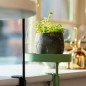 Esschert Design Bandeja para plantas con abrazadera redonda verde S Esschert Design Bandeja para plantas con abrazadera redonda verde S