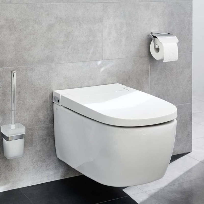 Kleine Wolke Portarrollo de papel higiénico con tapa Meo plateado Kleine Wolke Portarrollo de papel higiénico con tapa Meo plateado