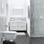 Kleine Wolke Portarrollo de papel higiénico con tapa Meo plateado Kleine Wolke Portarrollo de papel higiénico con tapa Meo plateado
