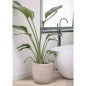 Capi Macetero Waste Rib beige terrazo 43x41 cm Capi Macetero Waste Rib beige terrazo 43x41 cm