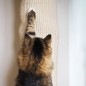 Quapas! Saco de escalada para gatos sisal 180 cm Quapas! Saco de escalada para gatos sisal 180 cm