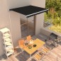 vidaXL Toldo retráctil manual gris antracita 300x250 cm vidaXL Toldo retráctil manual gris antracita 300x250 cm