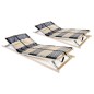 vidaXL Somieres de cama 2 uds con 42 láminas 7 zonas 80x200 cm vidaXL Somieres de cama 2 uds con 42 láminas 7 zonas 80x200 cm