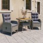 vidaXL Muebles de jardín 3 piezas ratán sintético gris madera acacia vidaXL Muebles de jardín 3 piezas ratán sintético gris madera acacia