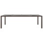 vidaXL Juego de comedor de jardín 11 piezas ratán sintético marrón