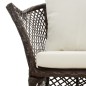 vidaXL Set muebles de jardín 2 piezas y cojines ratán sintético marrón vidaXL Set muebles de jardín 2 piezas y cojines ratán sintético marrón