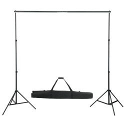 vidaXL Sistema de soporte de fondo telescópico 155-300 cm 