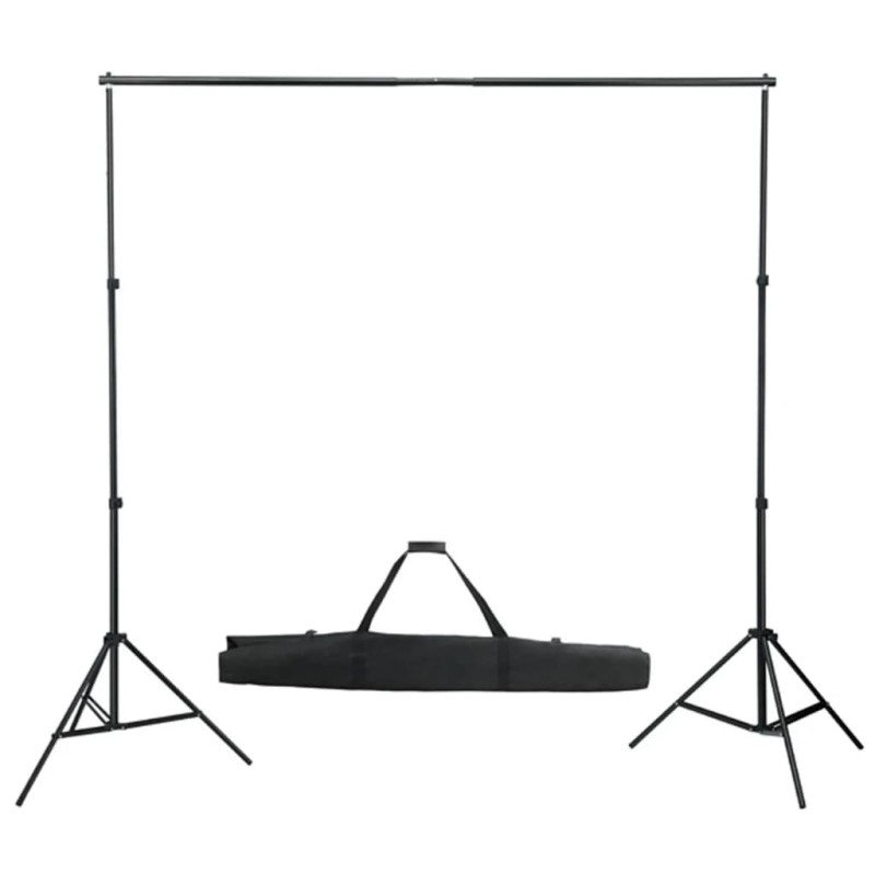 vidaXL Sistema de soporte de fondo telescópico 155-300 cm vidaXL Sistema de soporte de fondo telescópico 155-300 cm
