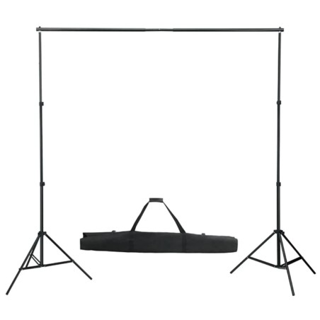 vidaXL Sistema de soporte de fondo telescópico 155-300 cm 