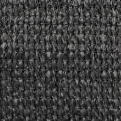 vidaXL Toldo para balcón HDPE 75x600 cm gris antracita