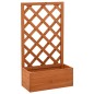 vidaXL Jardinera enrejada de jardín madera abeto naranja 50x25x90 cm vidaXL Jardinera enrejada de jardín madera abeto naranja 50x25x90 cm