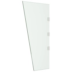 vidaXL Panel lateral para dosel de puerta vidrio templado 50x100 cm