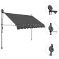 vidaXL Toldo manual retráctil con LED gris antracita 250 cm vidaXL Toldo manual retráctil con LED gris antracita 250 cm