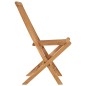 vidaXL Sillas de jardín plegables 2 unidades madera maciza de teca vidaXL Sillas de jardín plegables 2 unidades madera maciza de teca