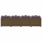 vidaXL Arriate 160x40x38 cm polipropileno vidaXL Arriate 160x40x38 cm polipropileno