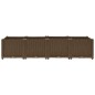 vidaXL Arriate 160x40x38 cm polipropileno vidaXL Arriate 160x40x38 cm polipropileno